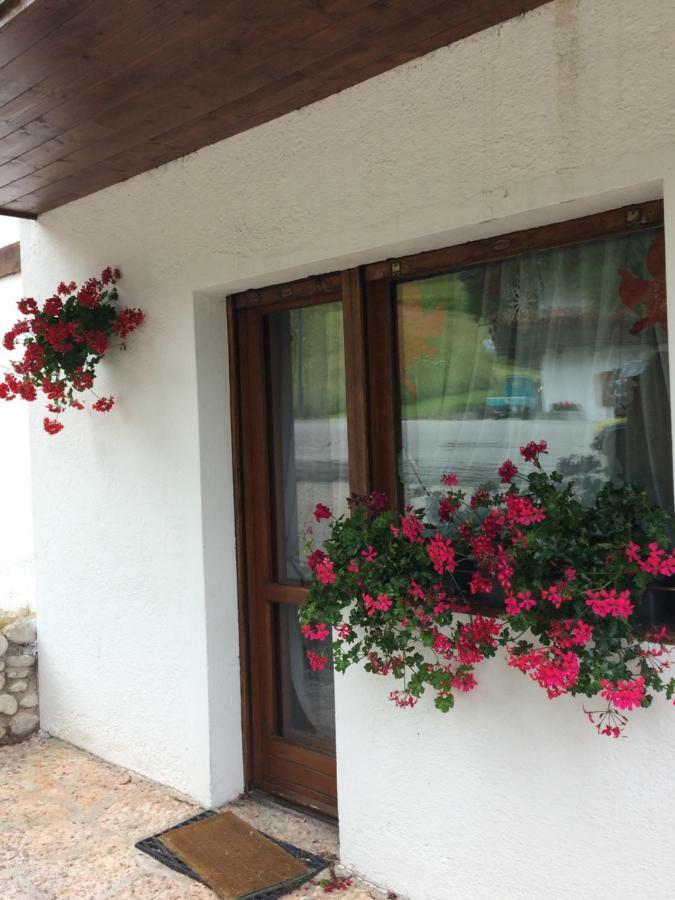 Ca' Dello Scoiattolo Apartment กอร์ตินาดัมเปซโซ ภายนอก รูปภาพ