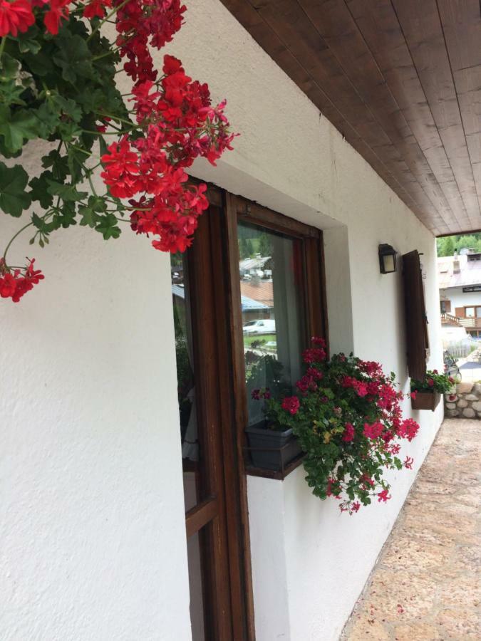 Ca' Dello Scoiattolo Apartment กอร์ตินาดัมเปซโซ ภายนอก รูปภาพ